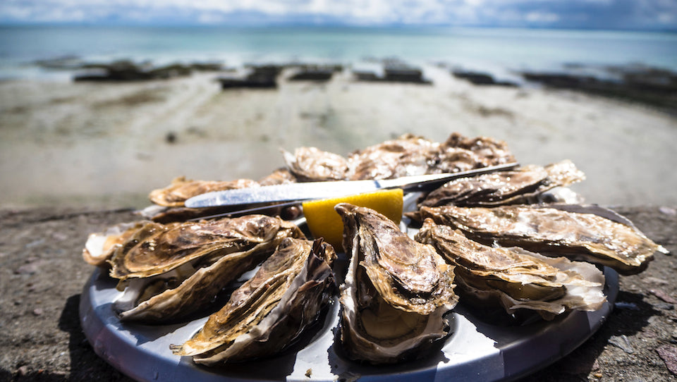 (Funny) facts to know about Oysters