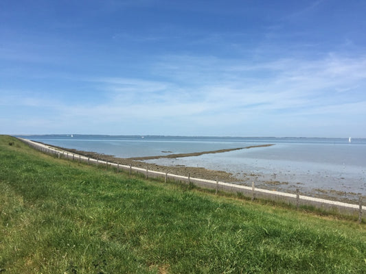 Did you know we collect the oysters on the beaches of the Eastern Scheldt?