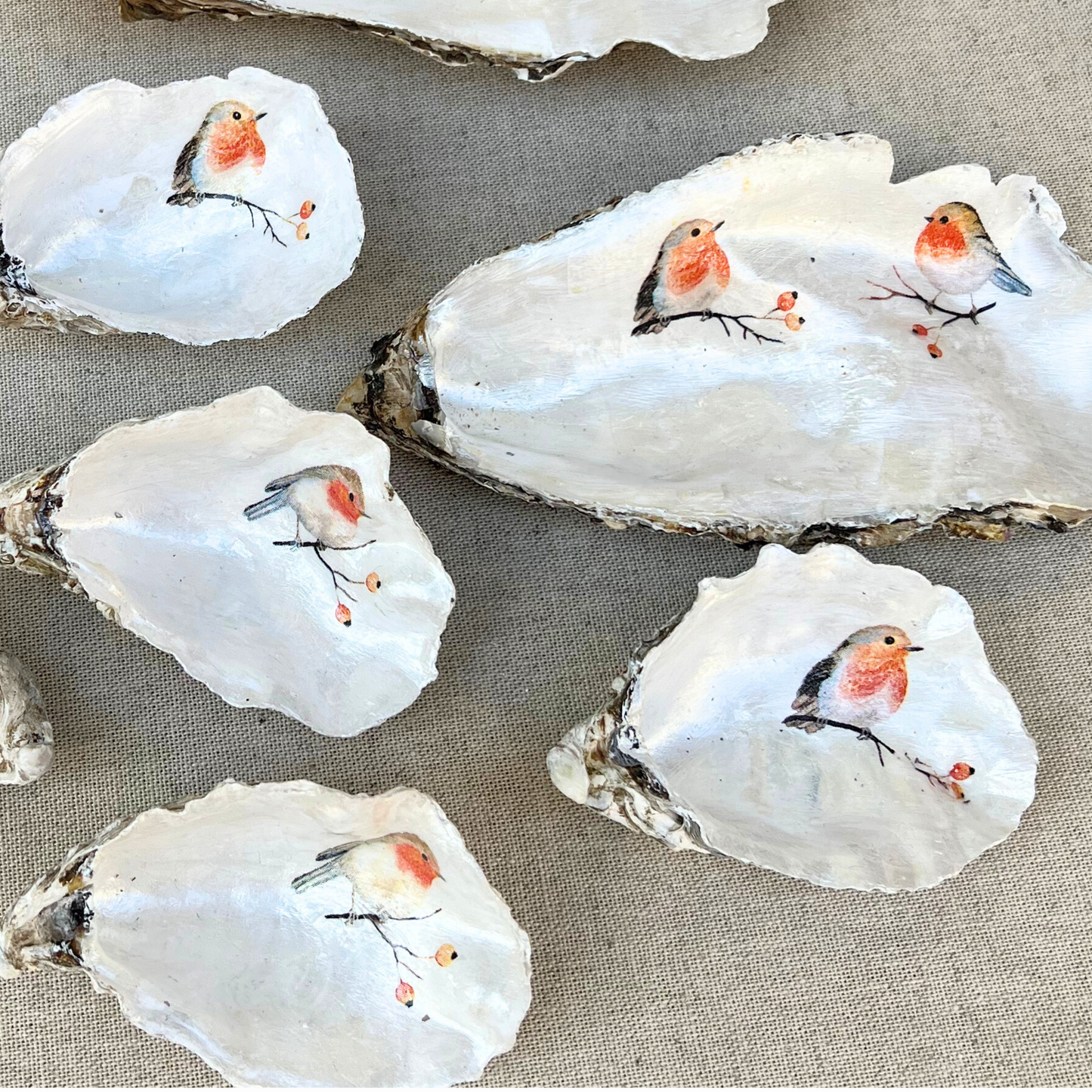 Robin Bird Oysters